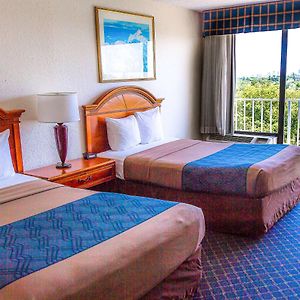 Standard Double Room Non-Smoking